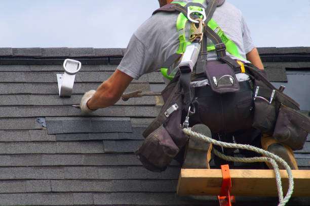 Best Roof Gutter Cleaning  in Hayward, WI