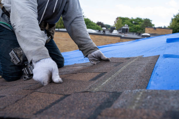 Best Roof Leak Repair  in Hayward, WI