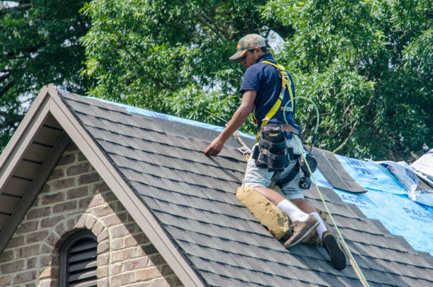 Trusted Hayward, WI Roofing Contractor Experts